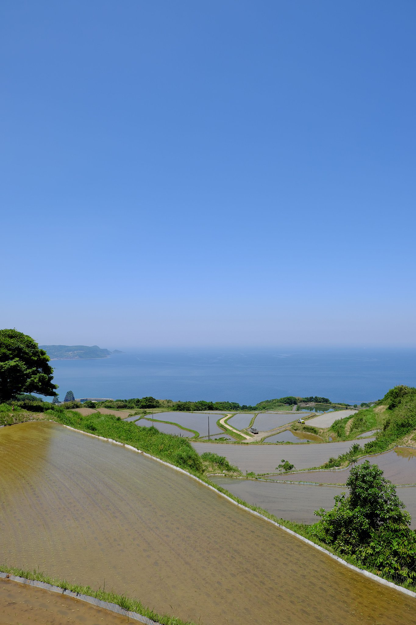 棚田