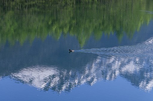 気持ちいいカモ