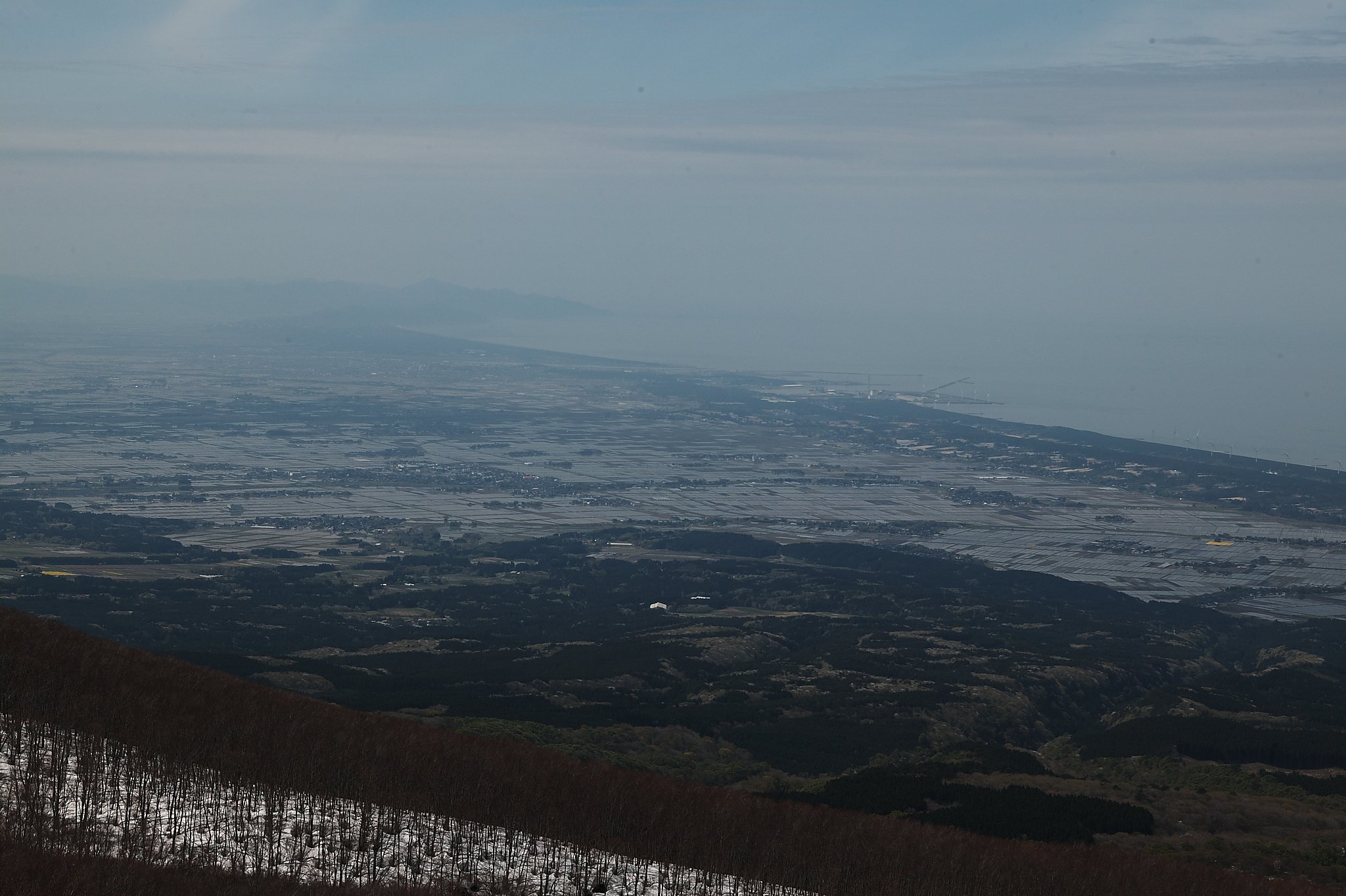 庄内平野