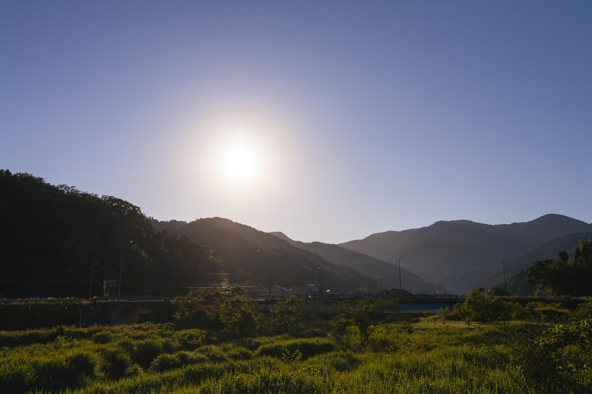 遅めの朝日
