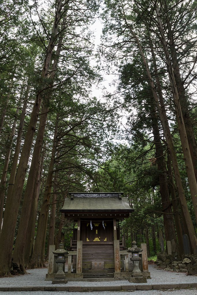 ここから登山道
