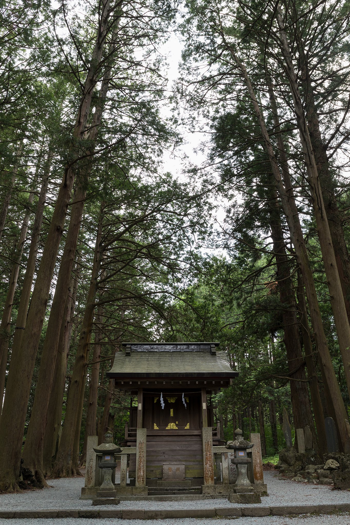 ここから登山道