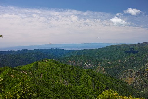富士山も見えた！