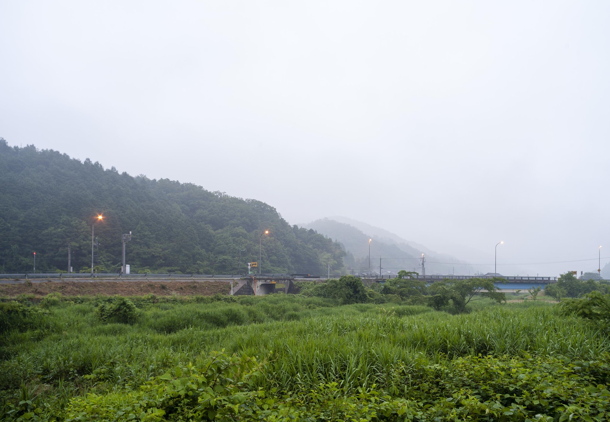 雨の朝