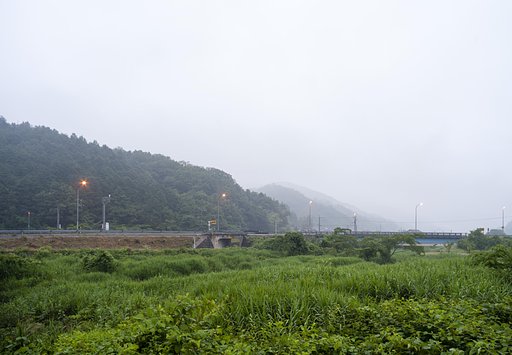 雨の朝