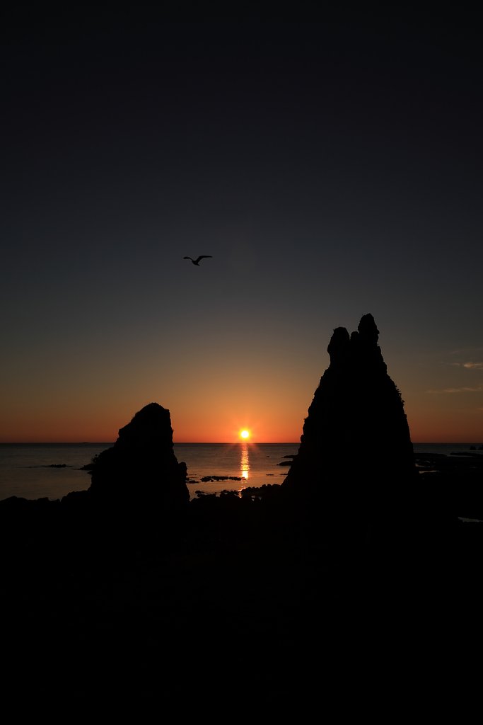 カモメ舞う夕景