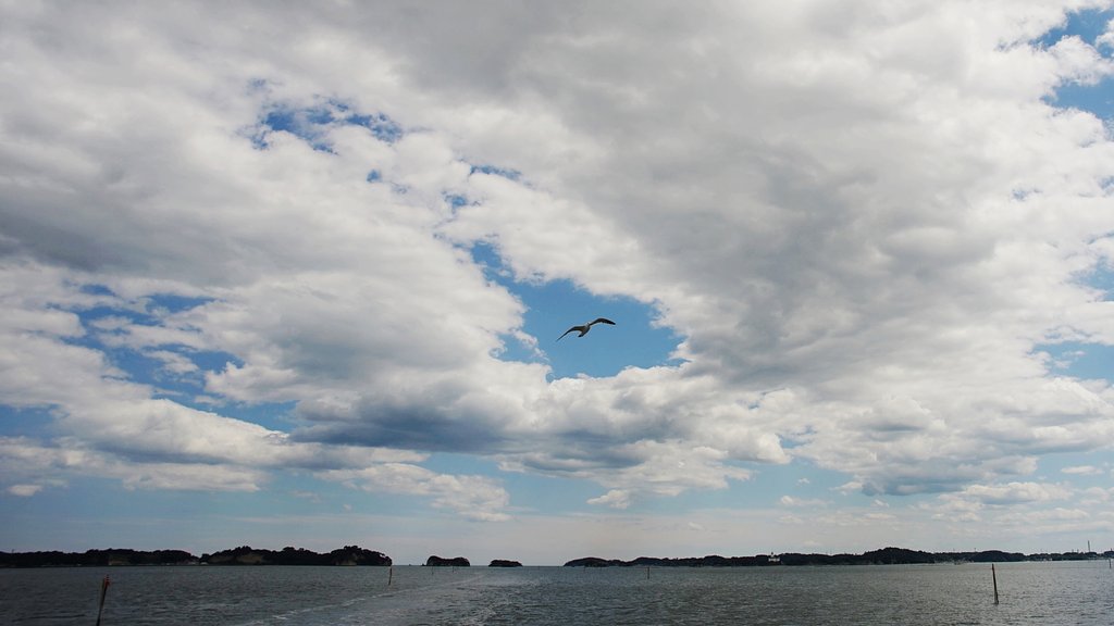 松島にて