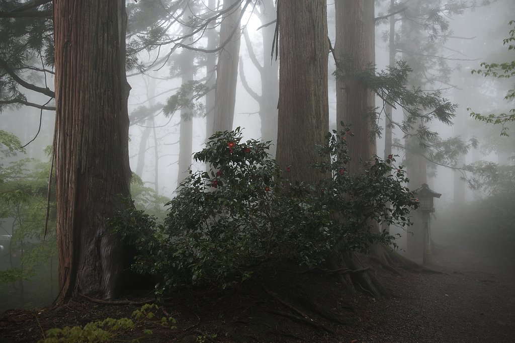 羽黒山