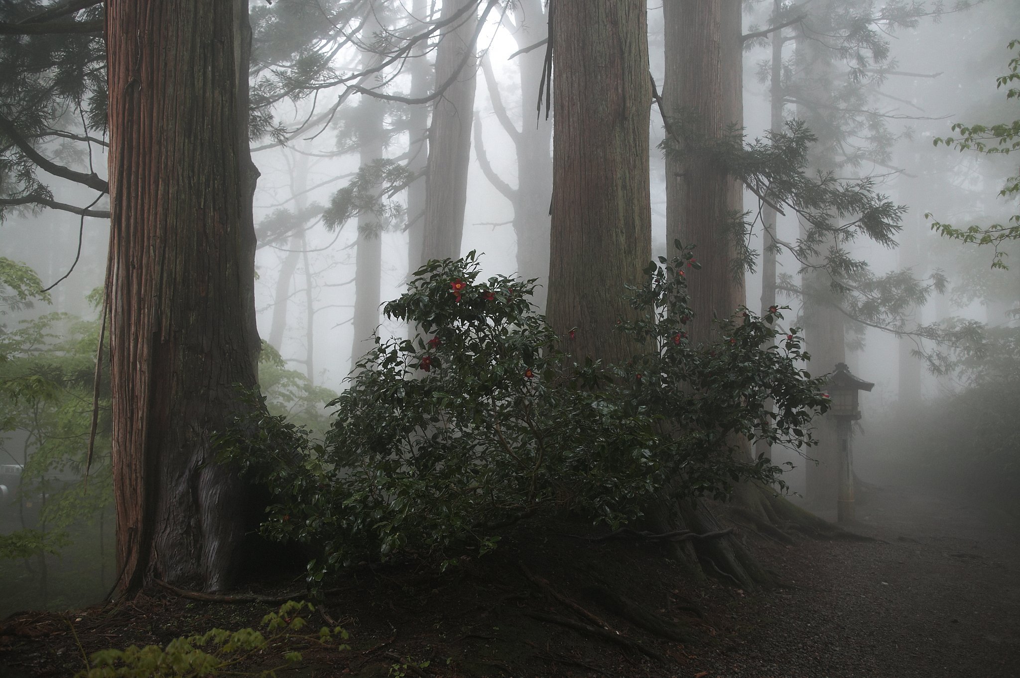 羽黒山