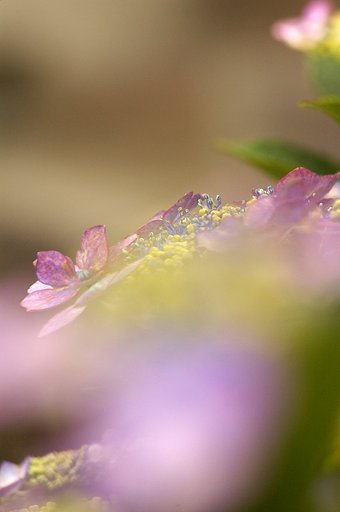 【淡】まずは私が敷居を下げます（笑