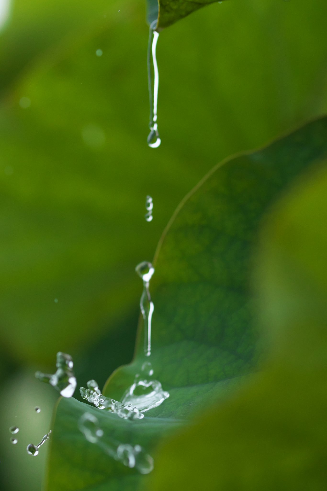 雨滴2