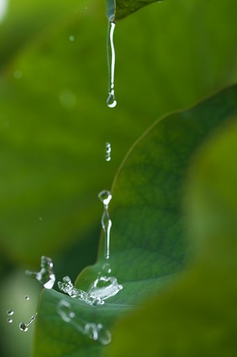 雨滴2