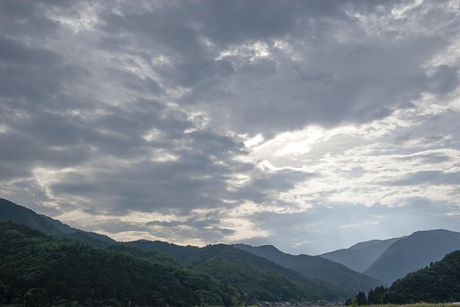 梅雨の朝