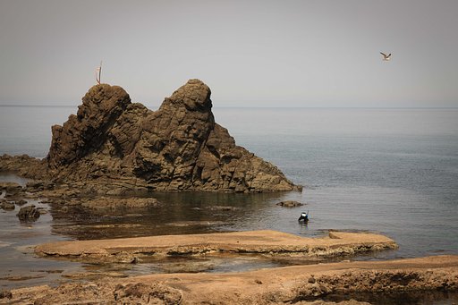鶴岡にて