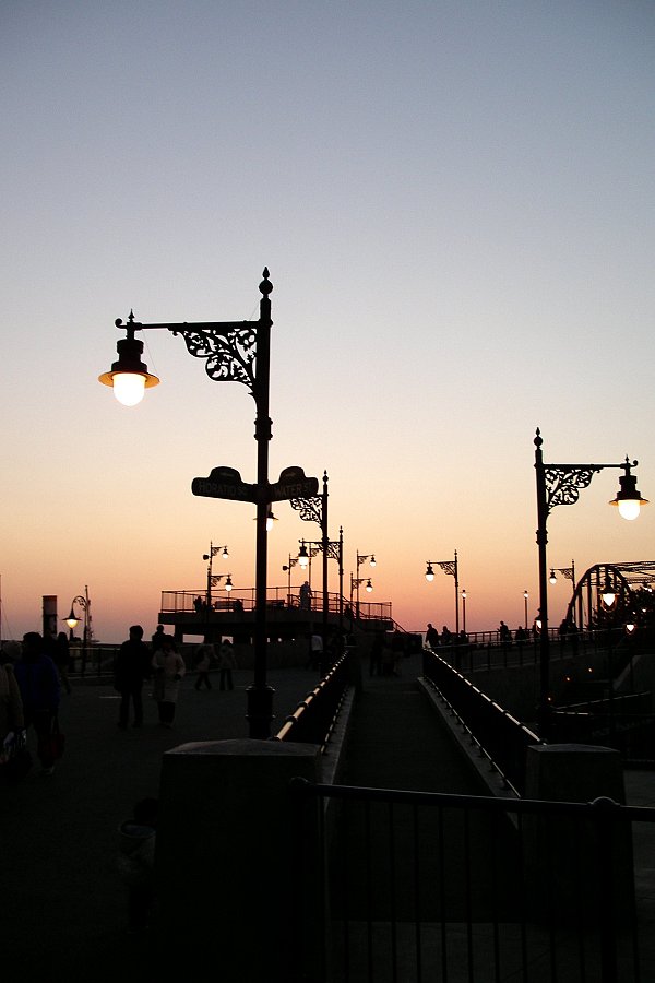 【MFS】TDSの夕景