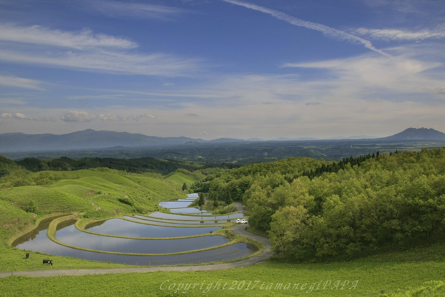 産山村