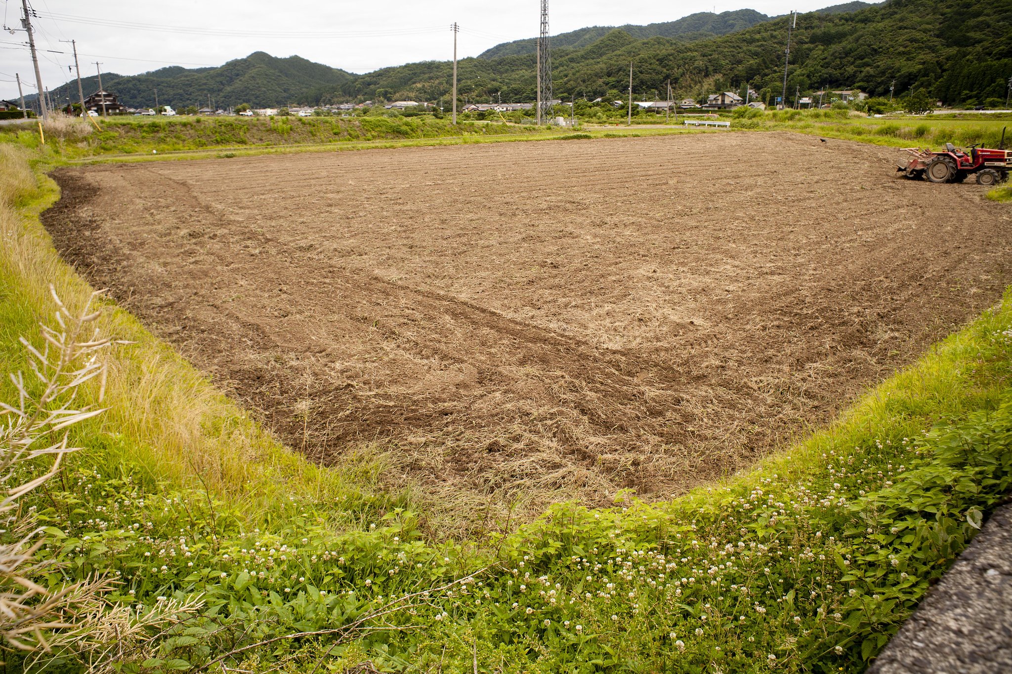 早朝から
