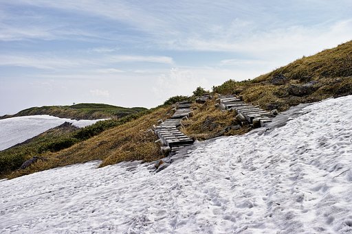 今日の登山道