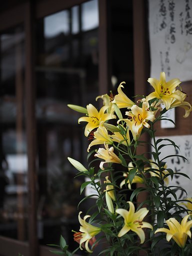 夏の店先にて