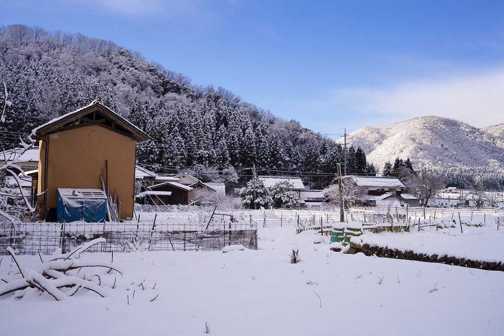 雪国の朝