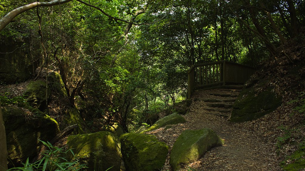 自然と山道