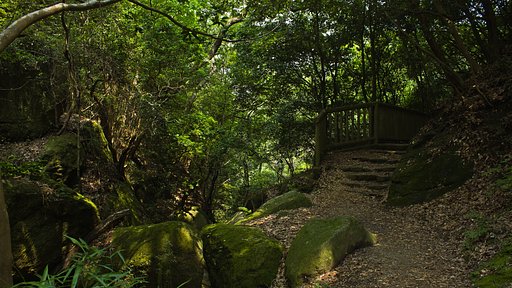 自然と山道