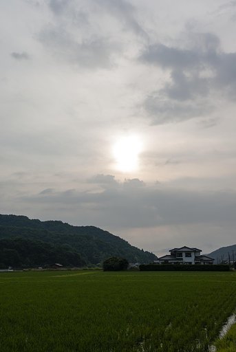 空梅雨？