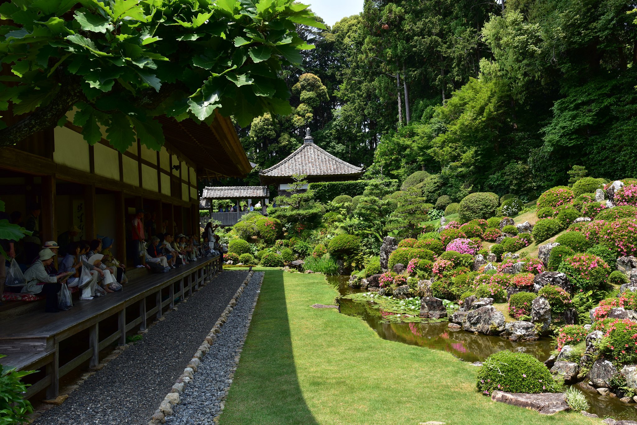 龍潭寺の庭