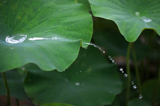 雨滴