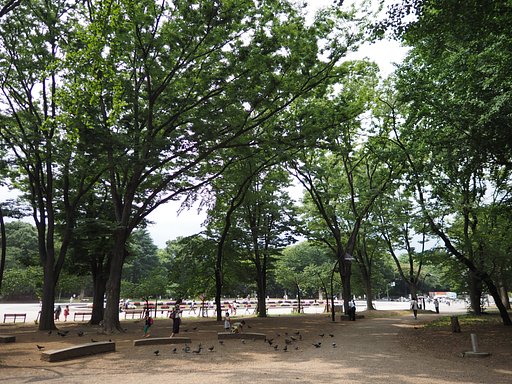 木陰に集う