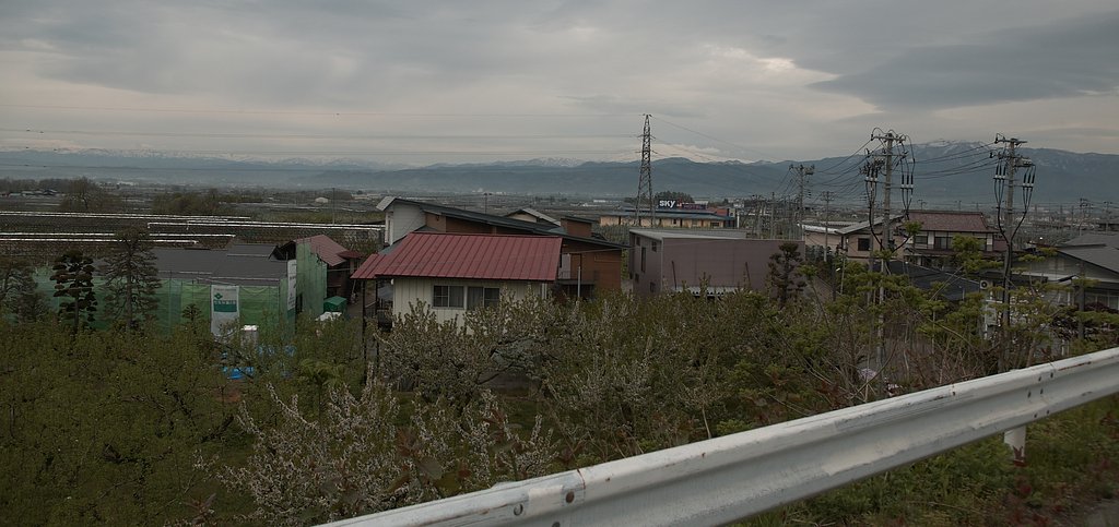 さくらんぼ？