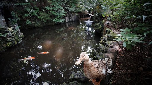 世田谷八幡