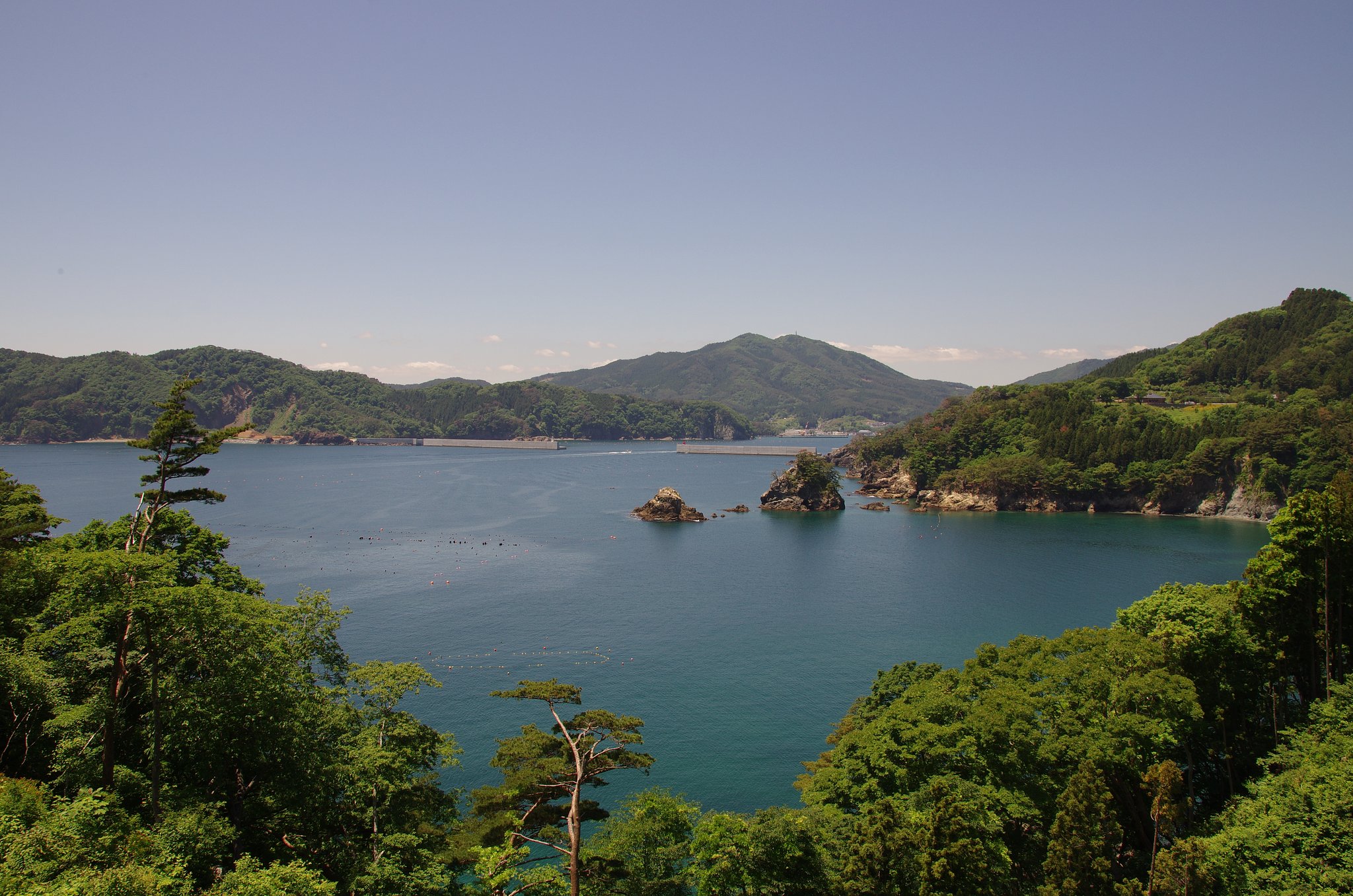 三陸の海