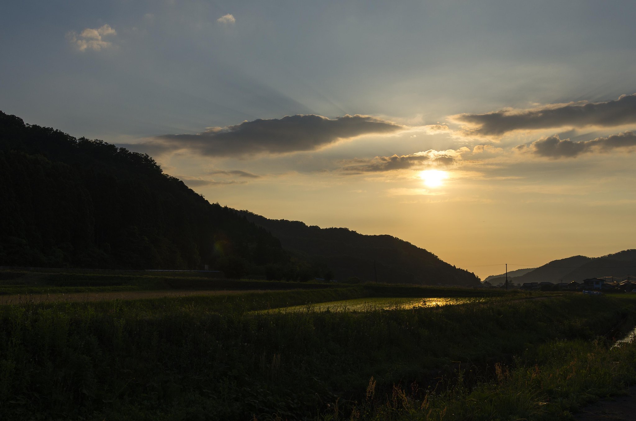 梅雨の夕方
