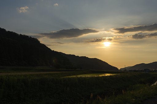 梅雨の夕方