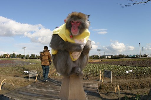 合成ってむずかしいのですね