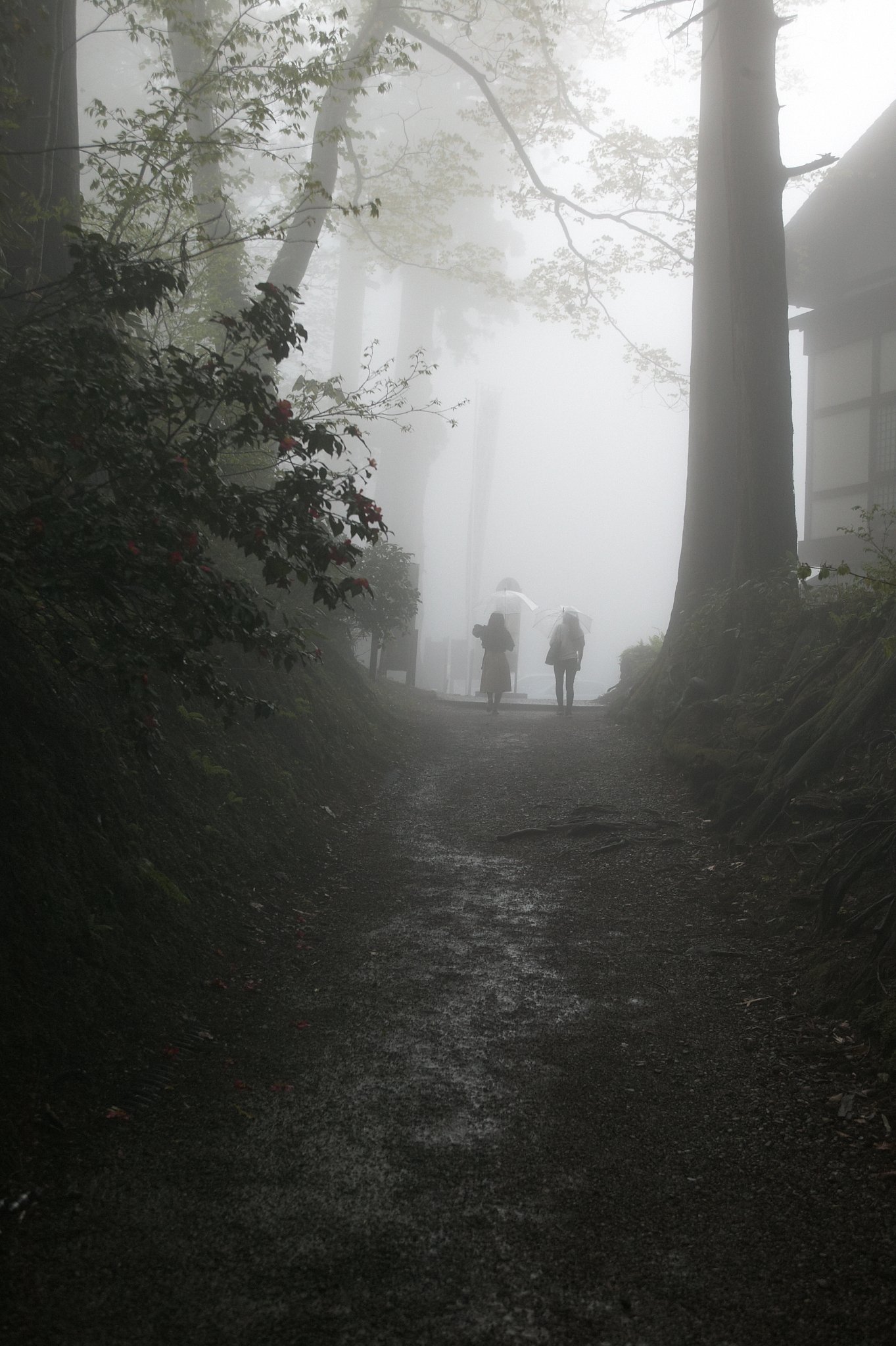 羽黒山