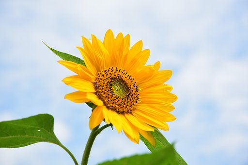 夏～～
