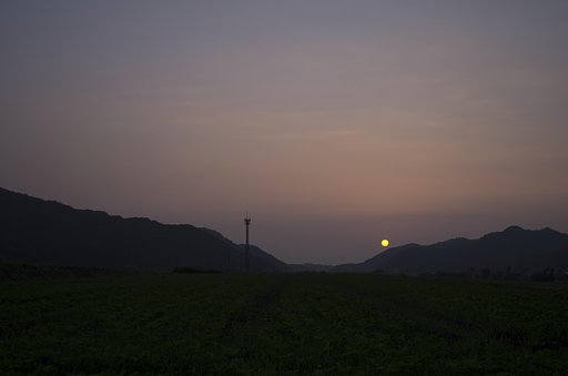 日没