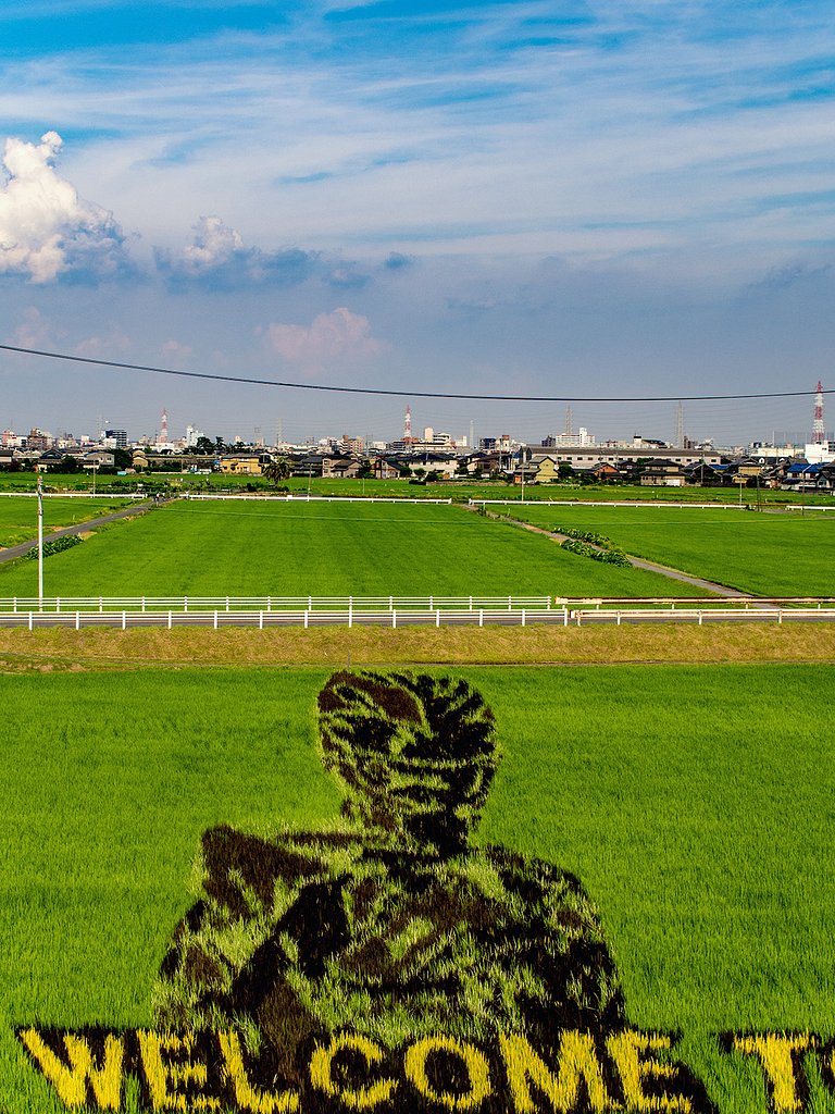 パワーレンジャー