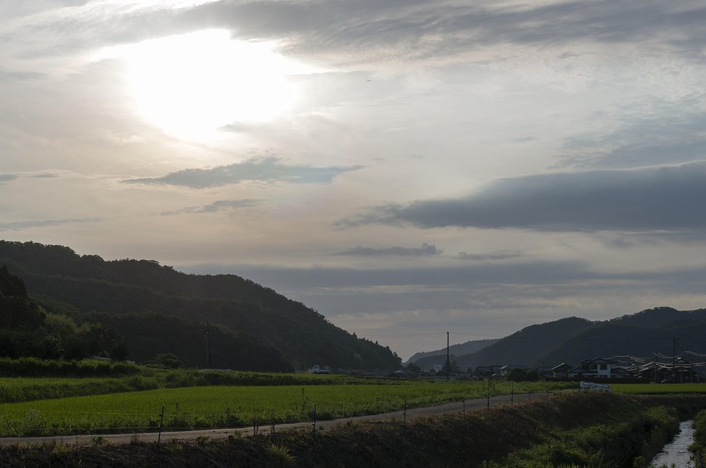 梅雨空に