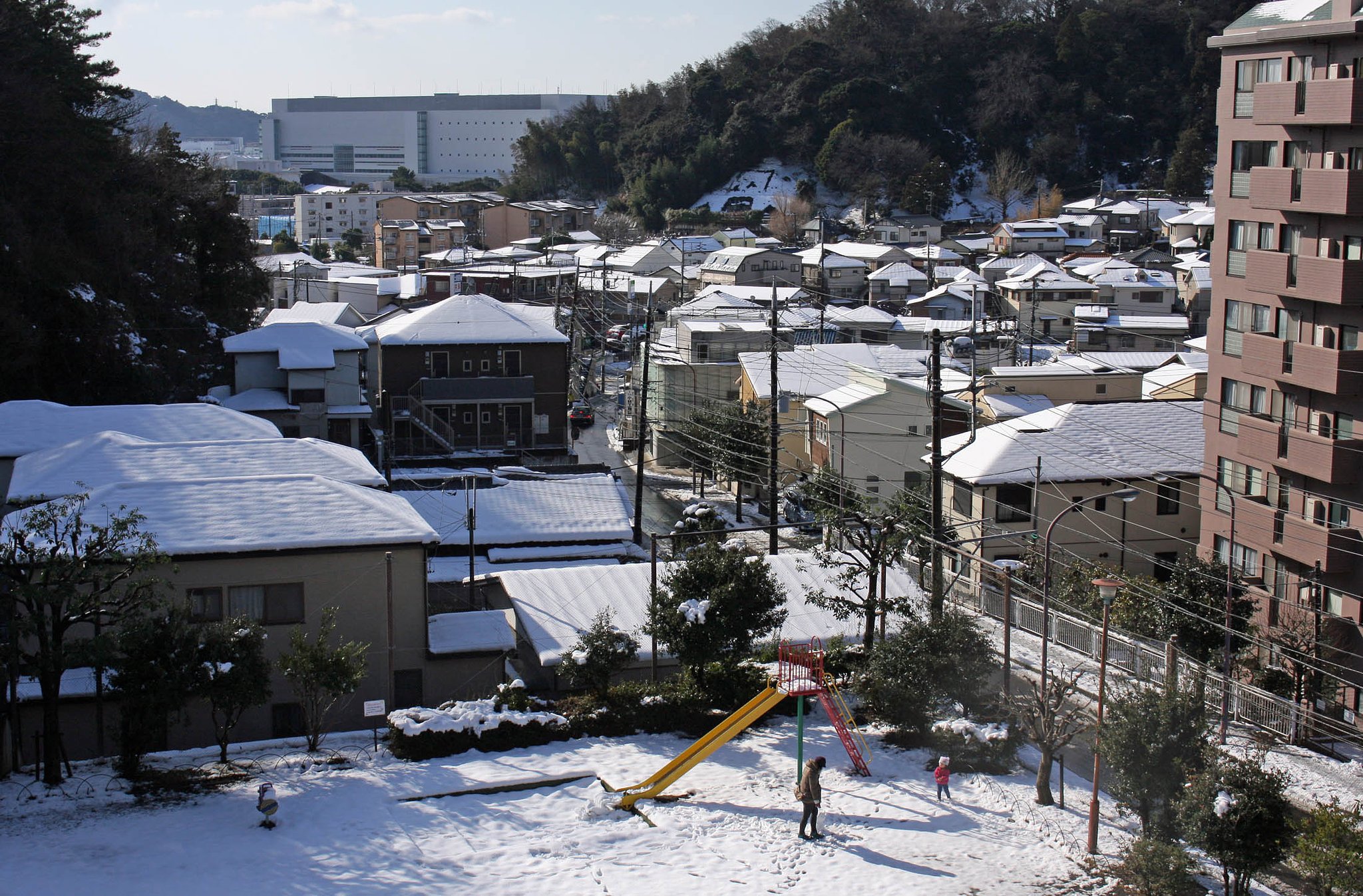 雪