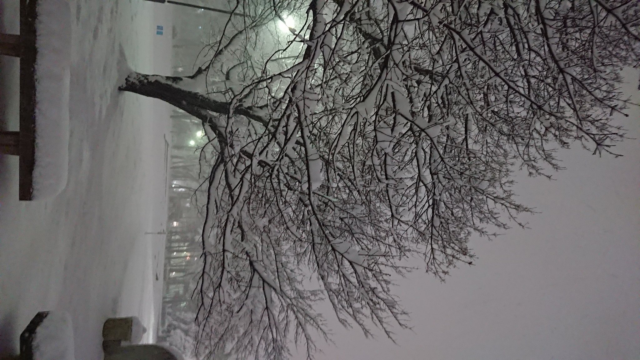 雪中行軍