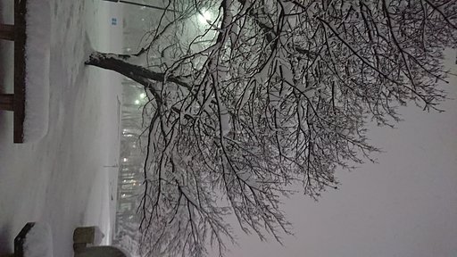 雪中行軍