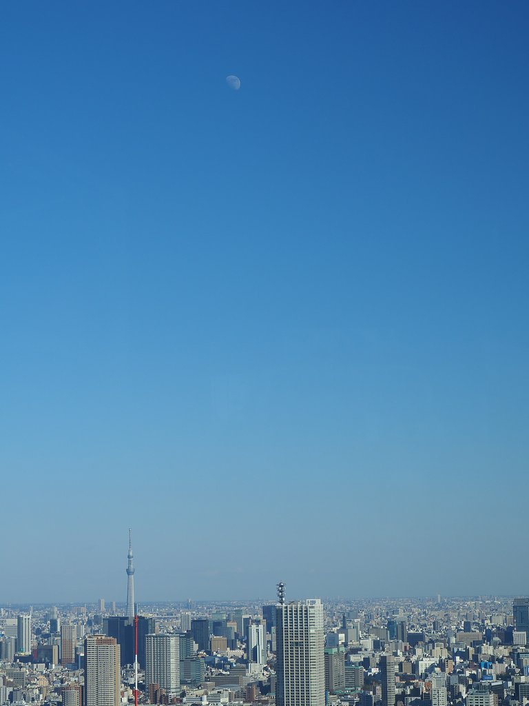 東の月
