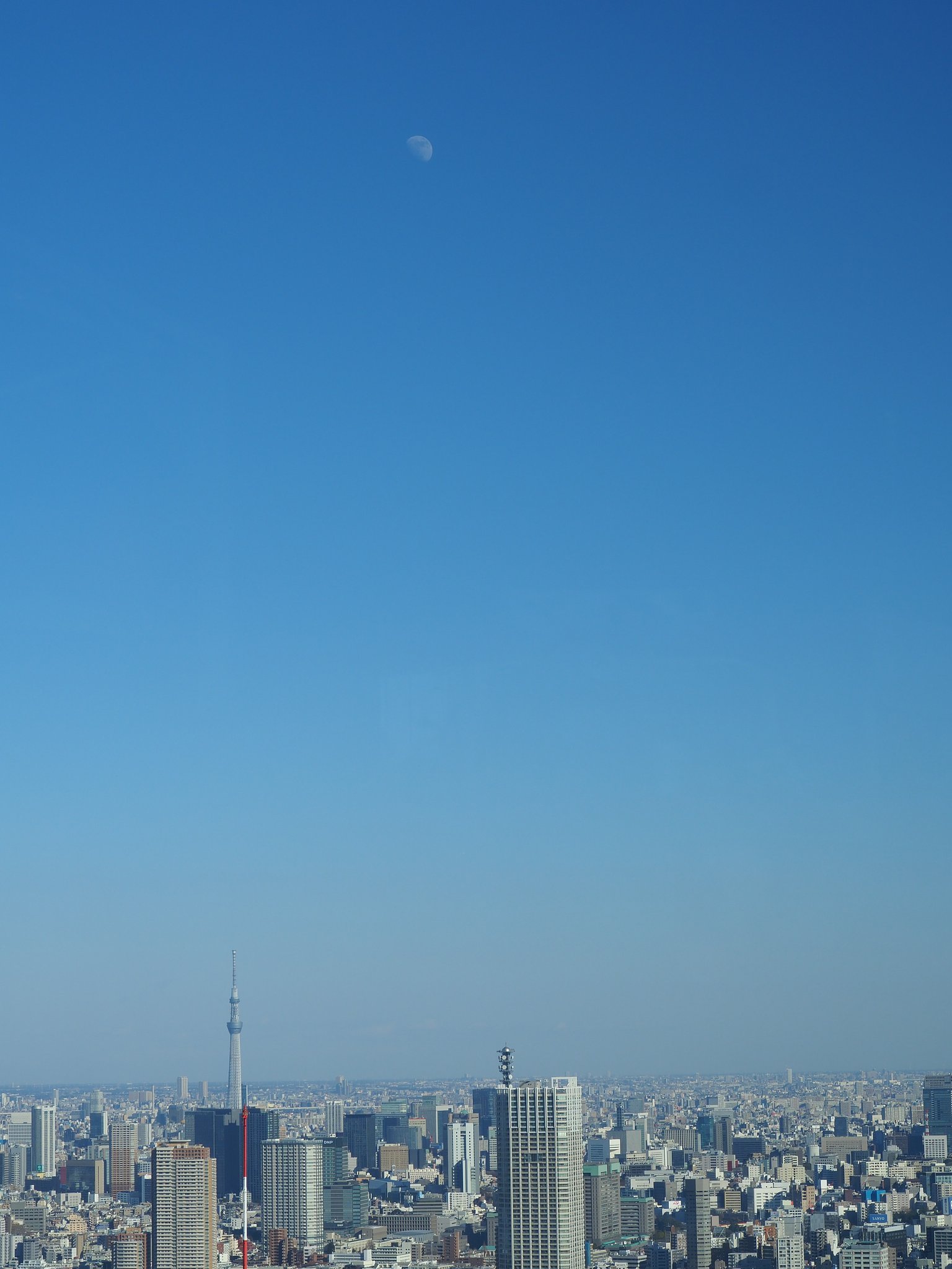 東の月