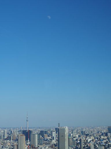 東の月
