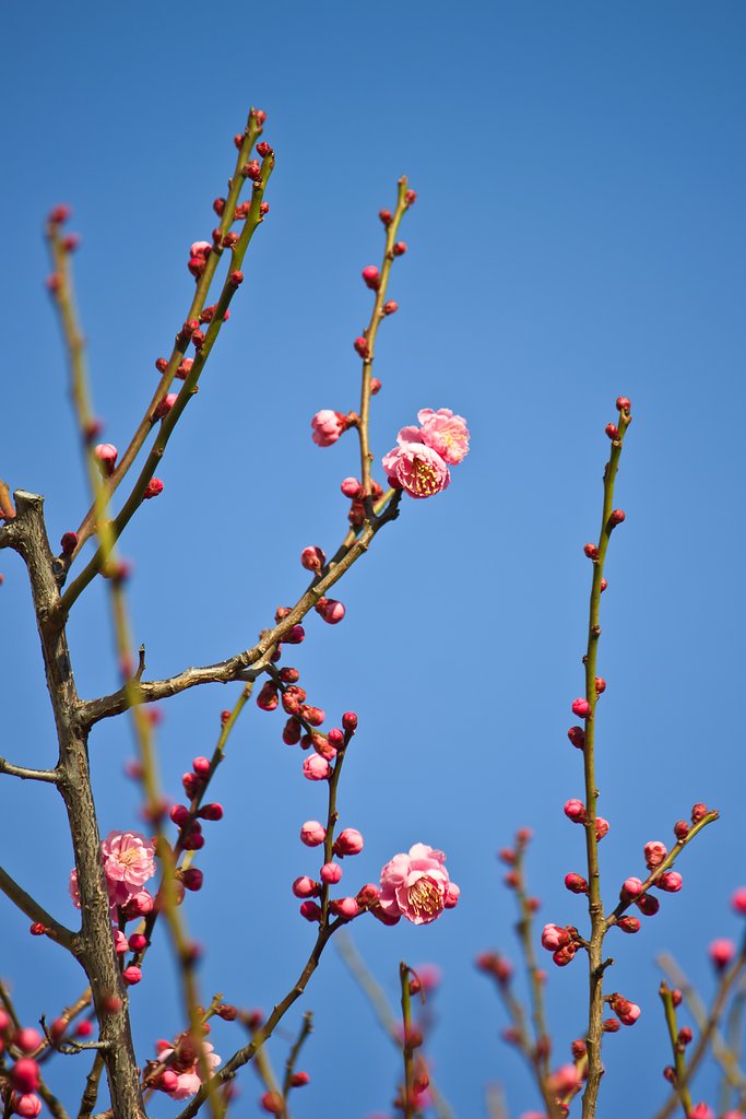 空へ