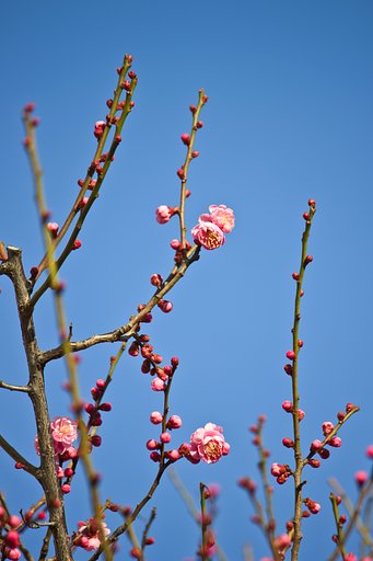 空へ