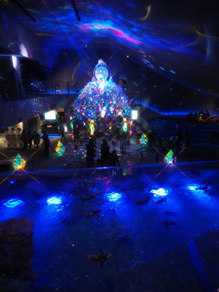 CRYSTAL SEAWORLD 2